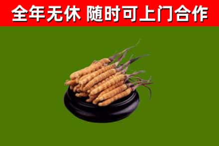 宁安市烟酒回收冬虫夏草.jpg